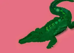 Claudia van Deudekom - Mijn kanker is een krokodil