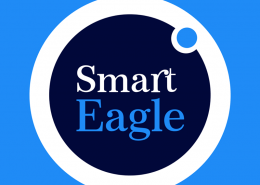 Ontwerp logo en basishuisstijl, ontwerp en realisatie website voor SmartEagle