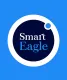 Ontwerp logo en basishuisstijl, ontwerp en realisatie website voor SmartEagle